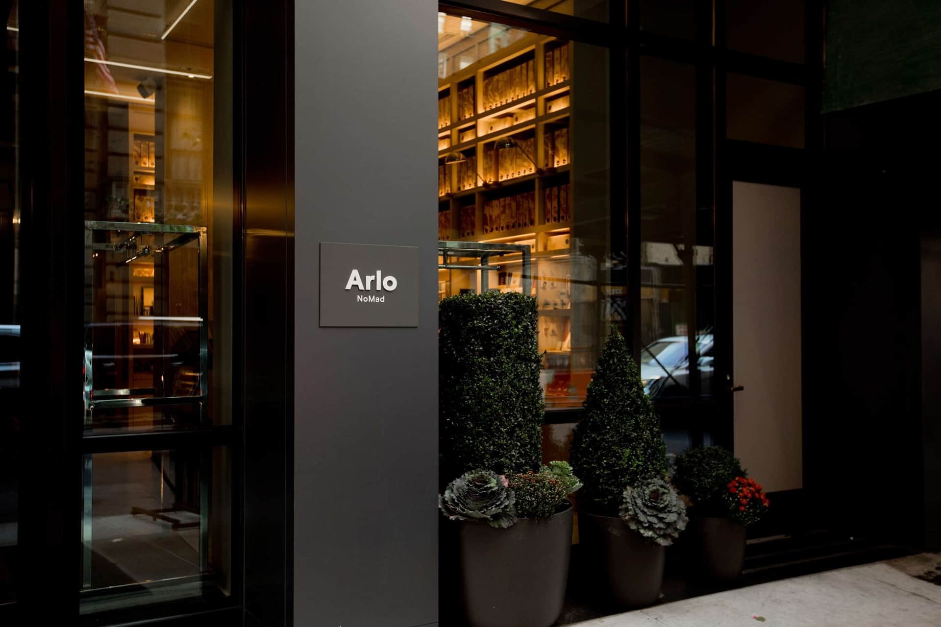 Arlo NoMad