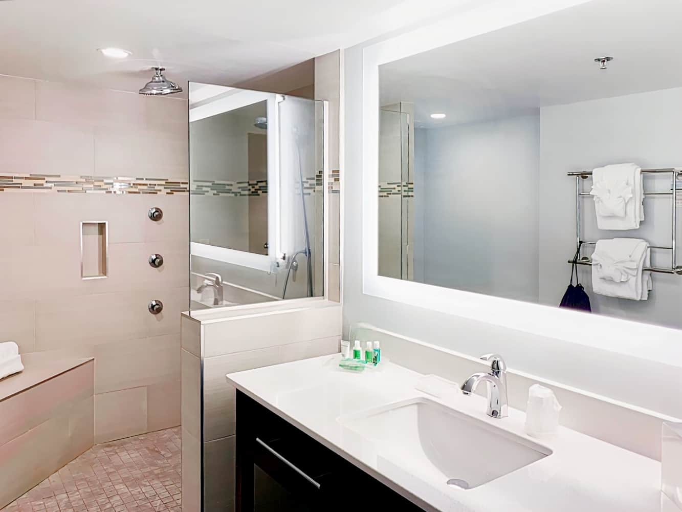 Holiday Inn Charlottesville-Univ Area