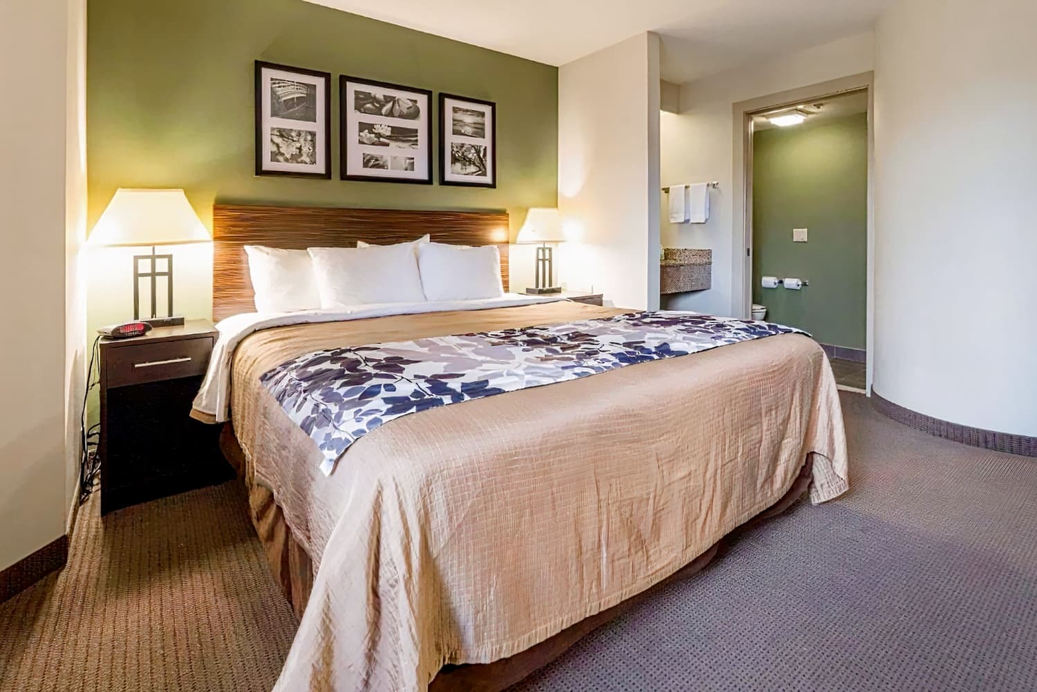 Sky Harbor Airport Inn (Old)