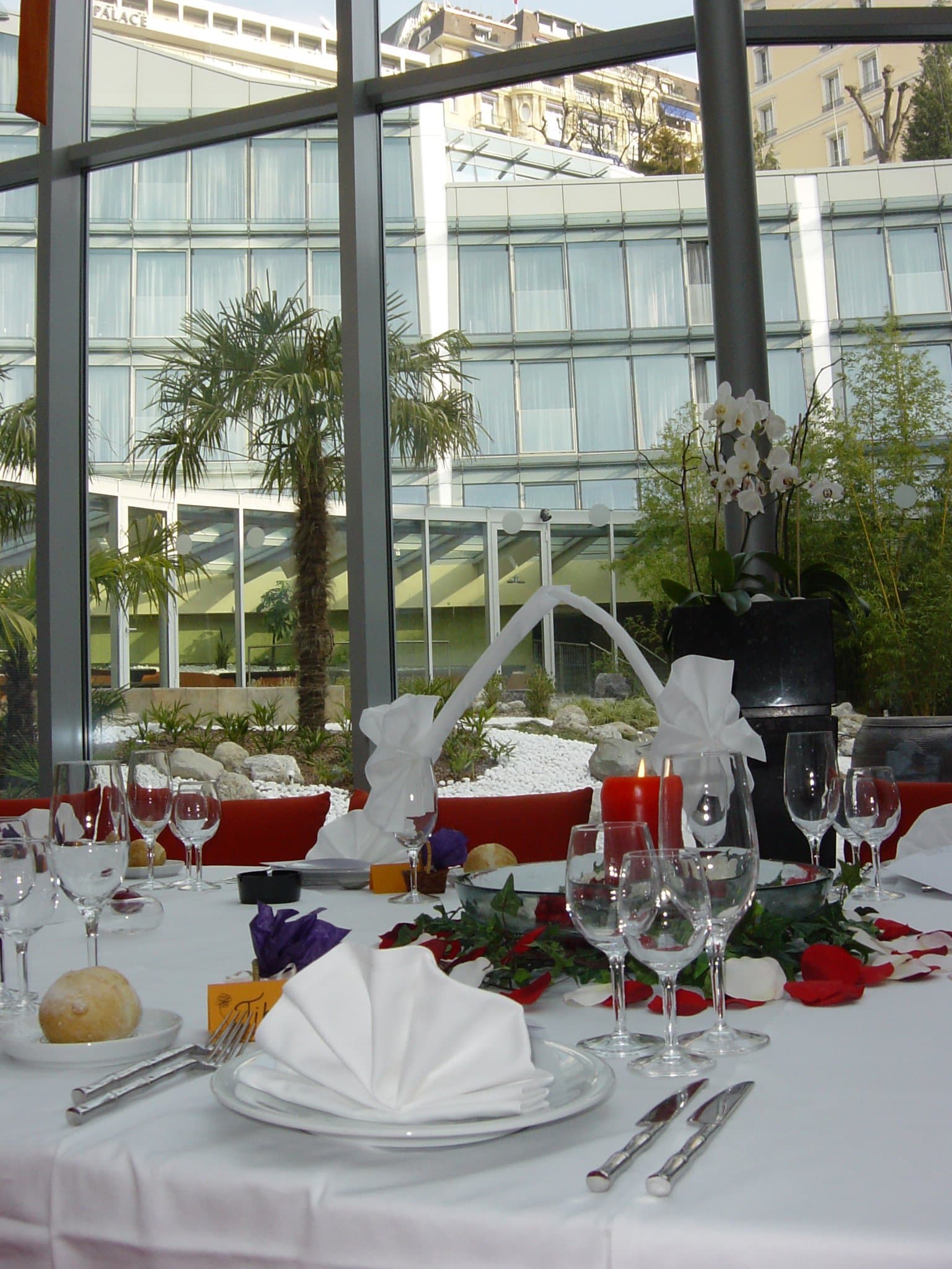 Alpha Palmiers by Fassbind