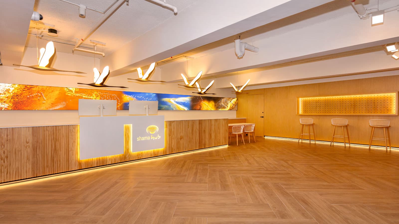 Shama Hub Metro South Hong Kong